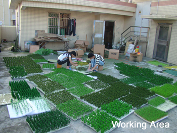 najing model company